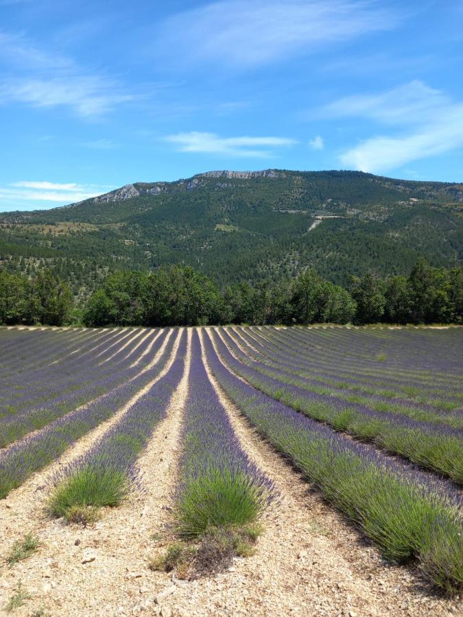 La Plume Du Ventoux Suite 305 Mollans-sur-Ouvèze Exterior foto